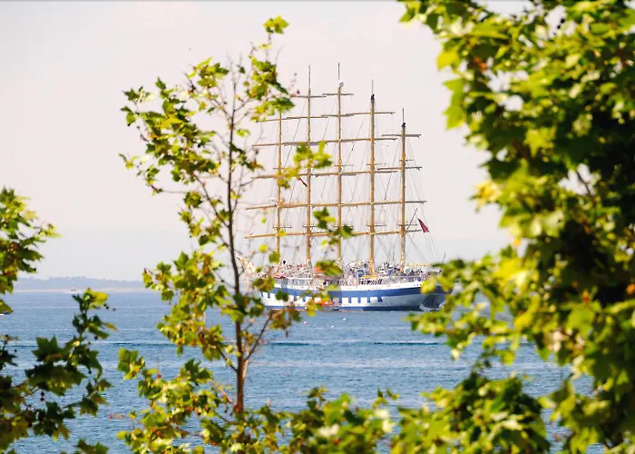 拉姆布拉玛尔酒店 酒店 3*